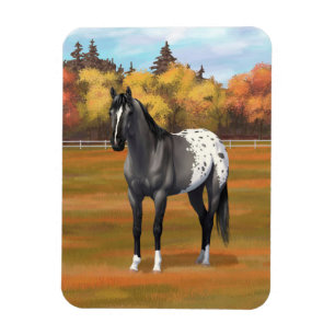 Gray Grulla Appaloosa Quarter Horse Stallion Magneet