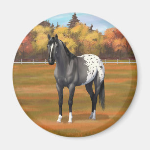 Gray Grulla Appaloosa Quarter Horse Stallion Magneet