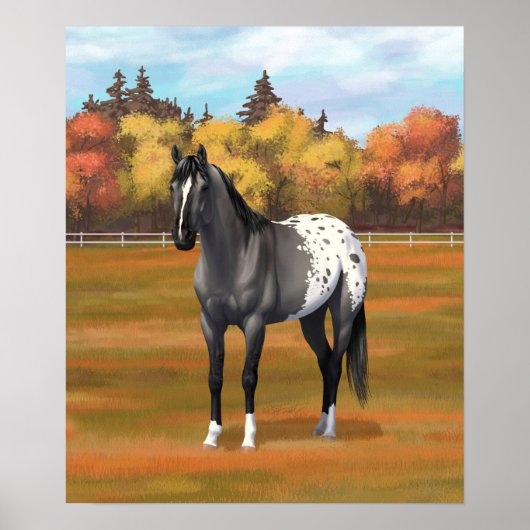 Gray Grulla Appaloosa Quarter Horse Stallion Poster (Voorkant)