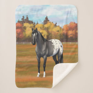 Gray Grulla Appaloosa Quarter Horse Stallion Sherpa Deken