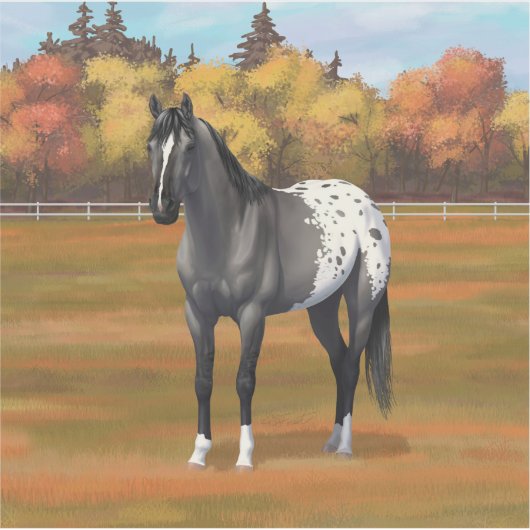 Gray Grulla Appaloosa Quarter Horse Stallion Sticker (Voorkant)
