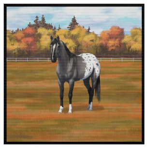 Gray Grulla Appaloosa Quarter Horse Stallion Stof