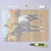 Gray Grulla Appaloosa Quarter Horse Stallion Tissuepapier (Craft)