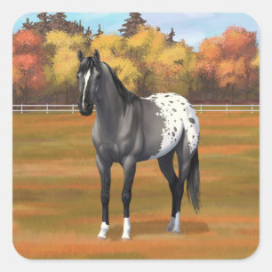 Gray Grulla Appaloosa Quarter Horse Stallion Vierkante Sticker