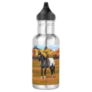 Gray Grulla Appaloosa Quarter Horse Stallion Waterfles