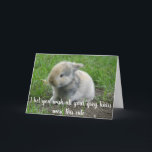 Gray Hair Hare Funny Age Bunny Birthday Kaart<br><div class="desc">Dit ontwerp is gemaakt met behulp van digitale kunst. Het kan in het gebied worden aangepast door de klik aan te passen en de naam, initialen of woorden aan te passen. U kunt de tekstkleur en de stijl ook veranderen of de tekst voor een slechts ontwerp van het afbeelding schrappen....</div>