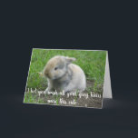 Gray Hair Hare Funny Age Bunny Birthday Kaart<br><div class="desc">Dit ontwerp is gemaakt met behulp van digitale kunst. Het kan in het gebied worden aangepast door de klik aan te passen en de naam, initialen of woorden aan te passen. U kunt de tekstkleur en de stijl ook veranderen of de tekst voor een slechts ontwerp van het afbeelding schrappen....</div>