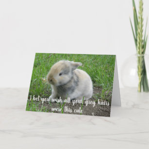 Gray Hair Hare Funny Age Bunny Birthday Kaart