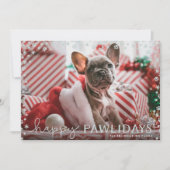 Gray Happy Pawlidays Pet Lover Holiday Fotokaart Feestdagenkaart (Voorkant)