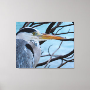 Gray Heron Canvas Afdruk