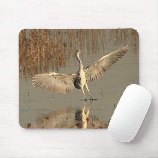 Gray Heron Muismat (Met muis)