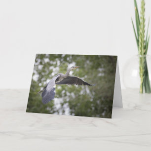 Gray Heron Natuur Foto Kaart