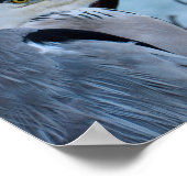 Gray Heron Poster (Hoek)