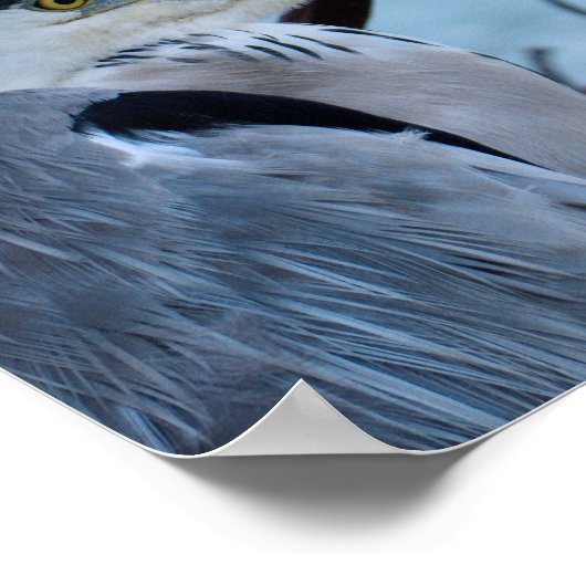 Gray Heron Poster (Hoek)