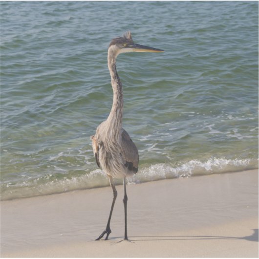 Gray Heron Sticker (Voorkant)