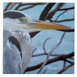 Gray Heron Tegeltje