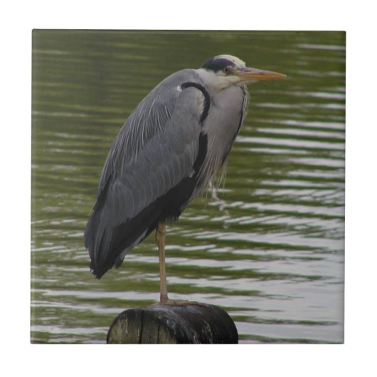 Gray Heron Tile Tegeltje (Voorkant)