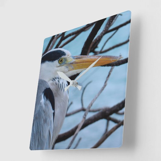 Gray Heron Vierkante Klok (Hoek)