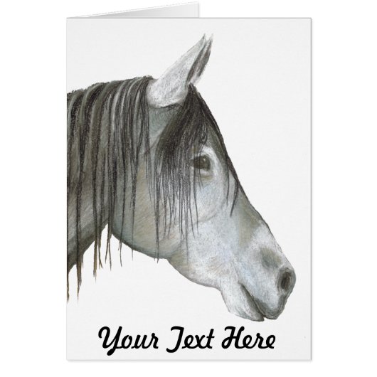 Gray Horse (Voorkant)