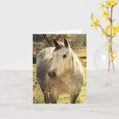 Gray Horse Birthday Kaart (Gele Bloem)