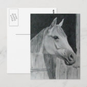 Gray Horse Briefkaart (Voorkant / Achterkant)