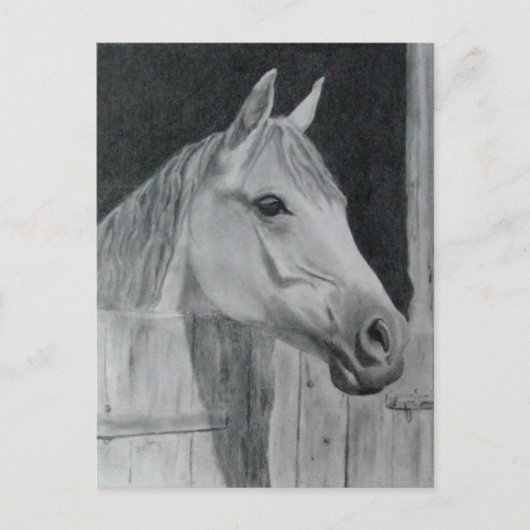 Gray Horse Briefkaart (Voorkant)