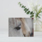 Gray Horse Eye Briefkaart (Staand voorkant)