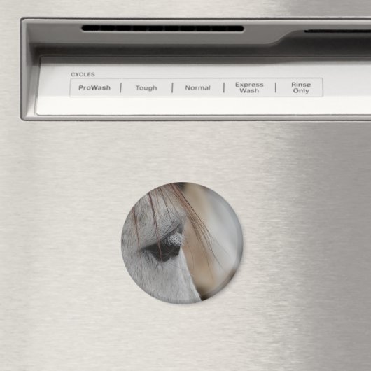 Gray Horse Eye Magneet (Insitu (Vaatwasser))