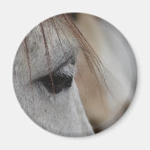 Gray Horse Eye Magneet (Voorkant)