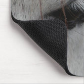 Gray Horse Eye Muismat (Hoek)