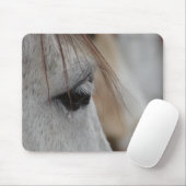 Gray Horse Eye Muismat (Met muis)