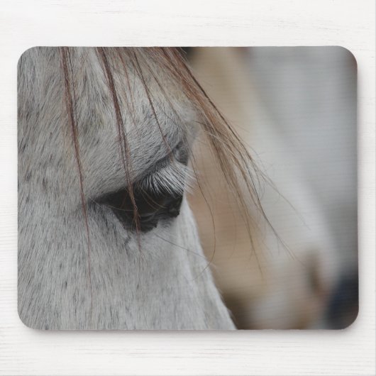 Gray Horse Eye Muismat (Voorkant)