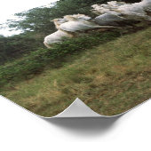 Gray Horse Herd Poster (Hoek)