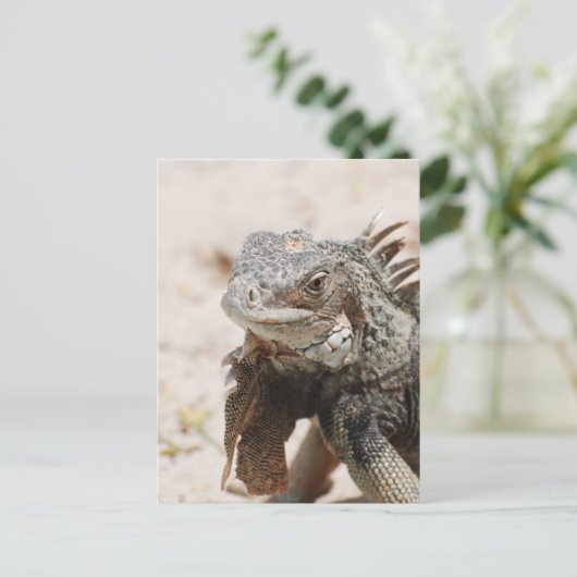 Gray Iguana Briefkaart (Staand voorkant)