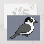 Gray Jay Briefkaart (Voorkant / Achterkant)