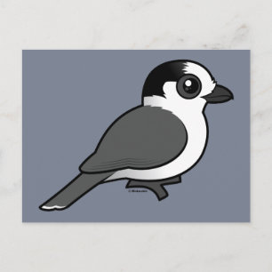 Gray Jay Briefkaart