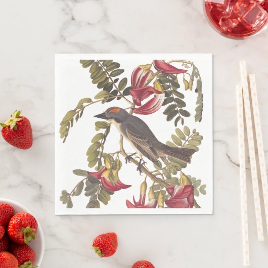 Gray Kingbird Audubon Bird on Flowering Tree Servet (Insitu)