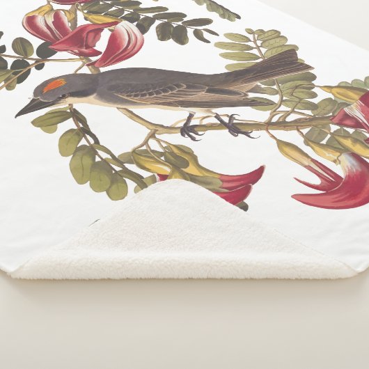 Gray Kingbird Audubon Bird on Flowering Tree Sherpa Deken (3/4)