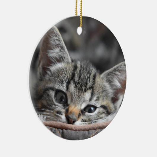 Gray Kitten Keramisch Ornament (Rechts)