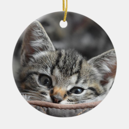 Gray Kitten Keramisch Ornament (Voorkant)
