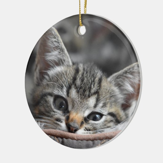 Gray Kitten Keramisch Ornament (Links)
