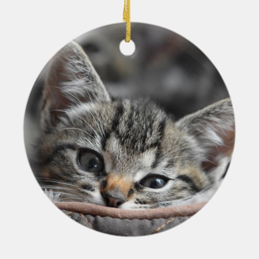 Gray Kitten Keramisch Ornament (Achterkant)