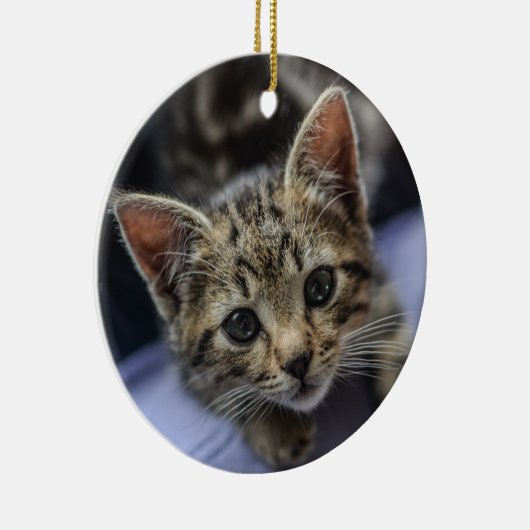 Gray Kitten Keramisch Ornament (Rechts)