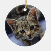 Gray Kitten Keramisch Ornament (Voorkant)