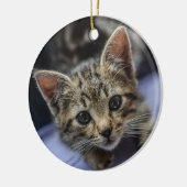 Gray Kitten Keramisch Ornament (Links)
