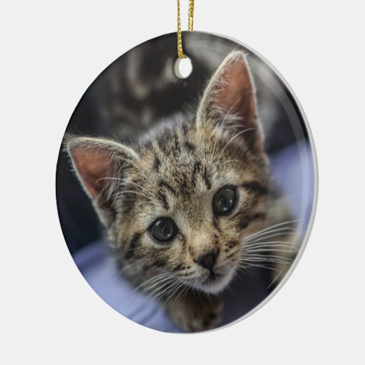 Gray Kitten Keramisch Ornament (Links)