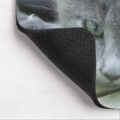 Gray Kitten Mousepad Muismat (Hoek)