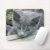Gray Kitten Mousepad Muismat (Met muis)