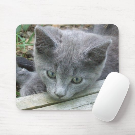 Gray Kitten Mousepad Muismat (Met muis)