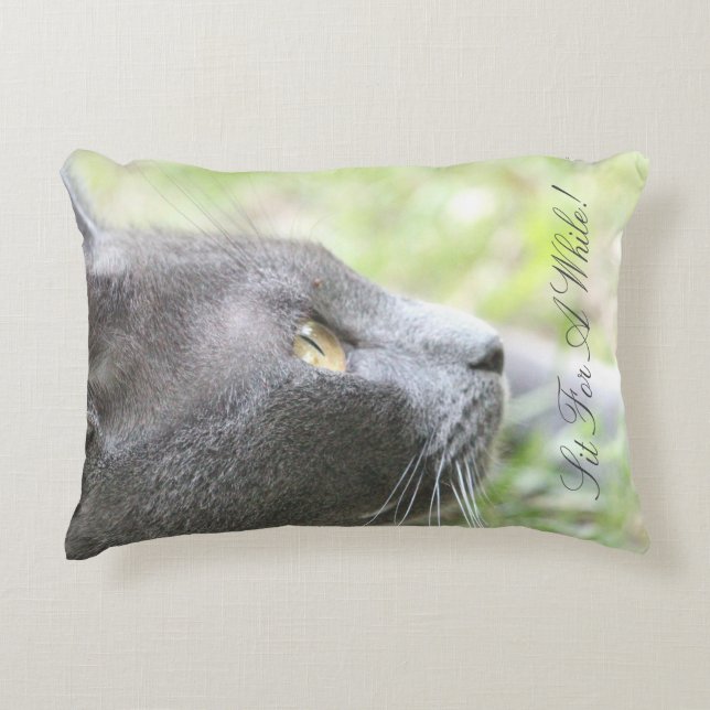 Gray Kitty Cat Accent Kussen (Voorkant)